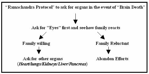 Brainstem Death