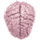 brainnew1.gif